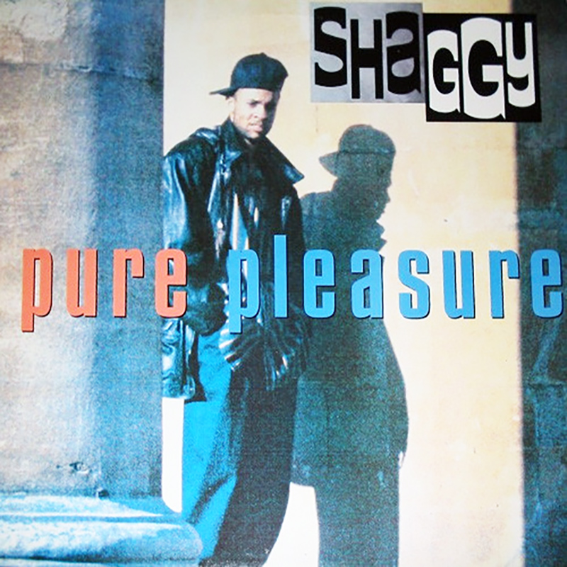 Shaggy / PURE PLEASURE (1993)