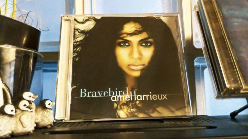 Bravebird / Amel Larrieux